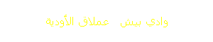 وادي بيش   عملاق الأودية 